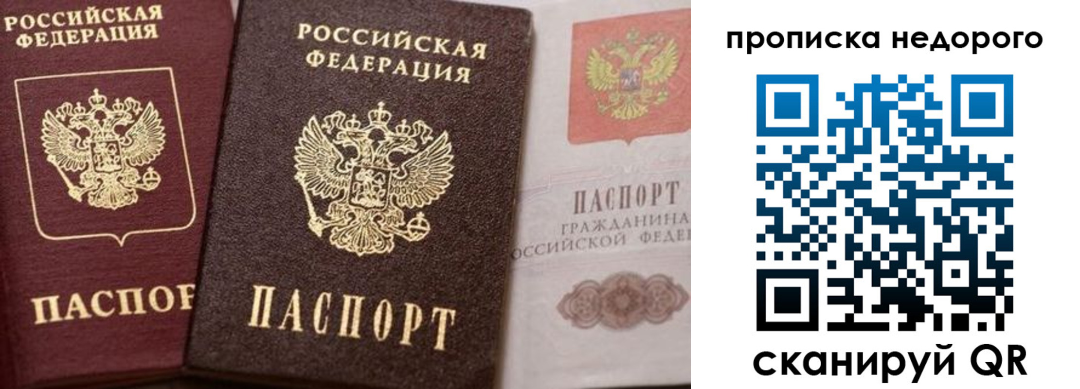 временная регистрация надежно в Волосово